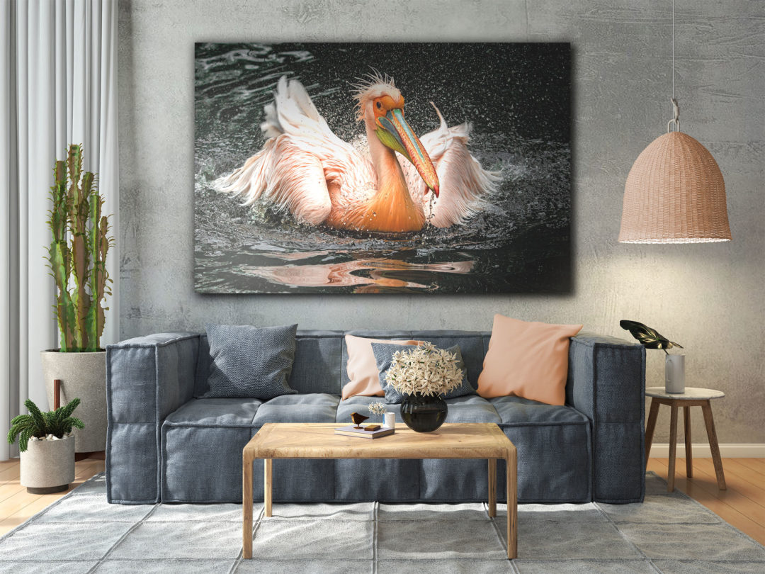 wandbild-waschtag-beim-pelikan-natur-tiere-wohnzimmer