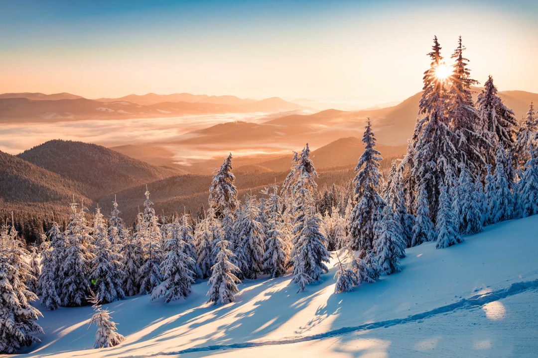 Wandbild Winterwald mit Bergen, Natur & Landschaft