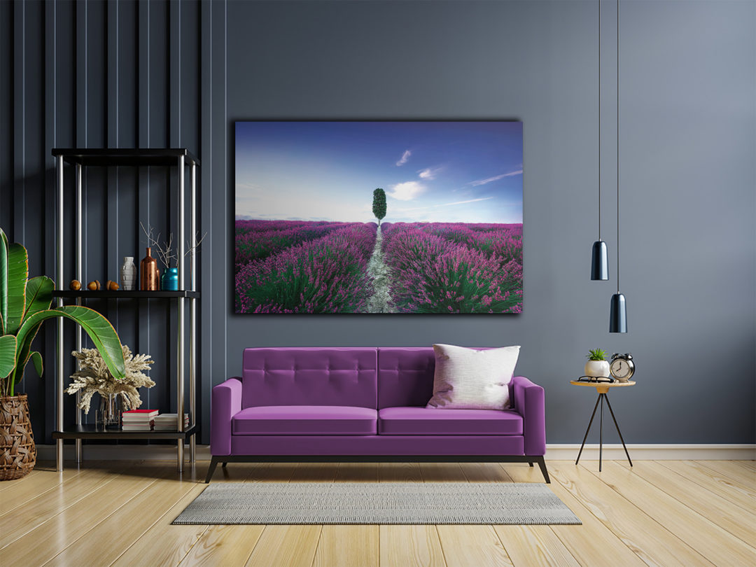 wandbild-blumenfeld-lavendel-mit-baum-natur-landschaft-wohnzimmer