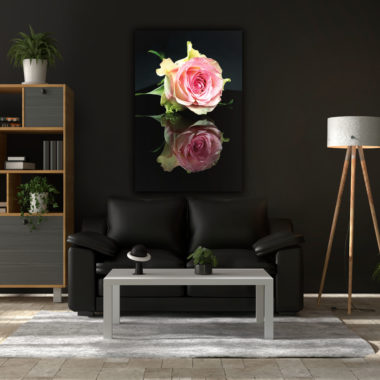 wandbild-gespiegelte-rose-natur-hanni-huelsmann-wohnzimmer-scaled