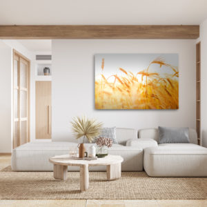 Wandbild Getreide im Wind - Wohnzimmer