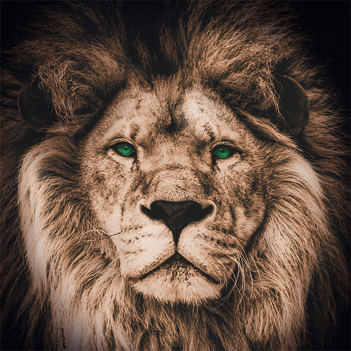 Wandbild Löwe mit grünen Augen