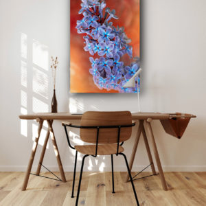 Wandbild Syringa Vulgaris Arbeitszimmer