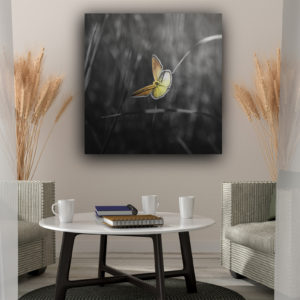 Wandbild Goldener Schmetterling Flur