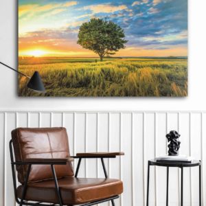 wandbild-einsamer-baum-im-feld-natur-landschaft-flur-2.jpg