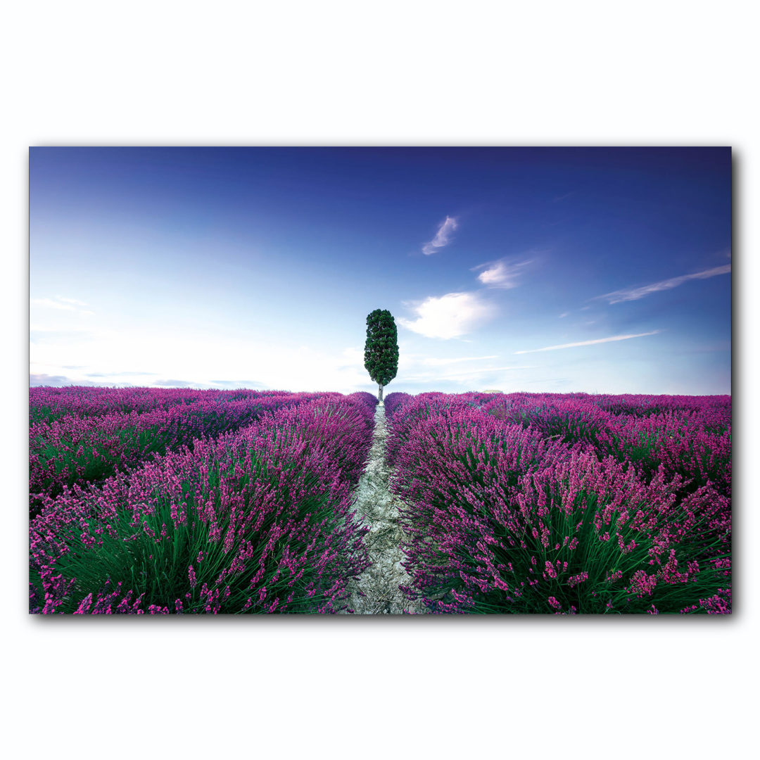 Wandbild Blumenfeld Lavendel mit Baum