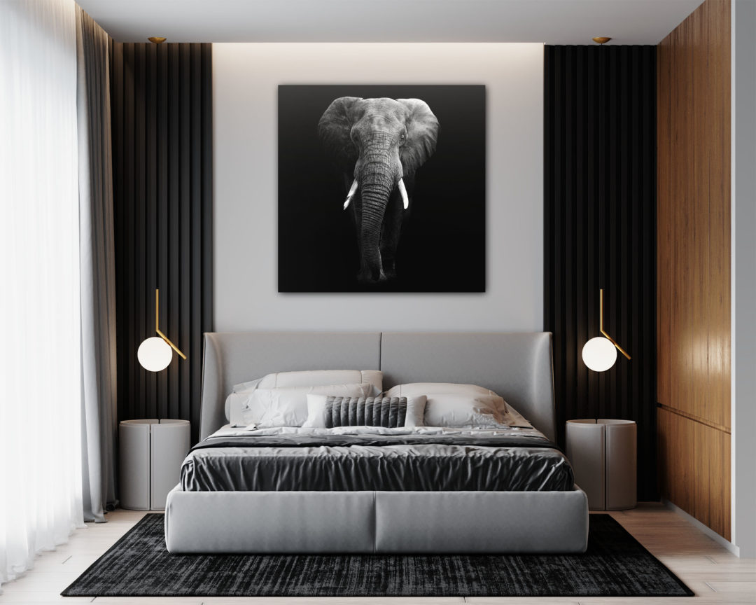 Wandbild Elefant - Schlafzimmer