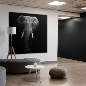 Wandbild Elefant - Wohnzimmer1