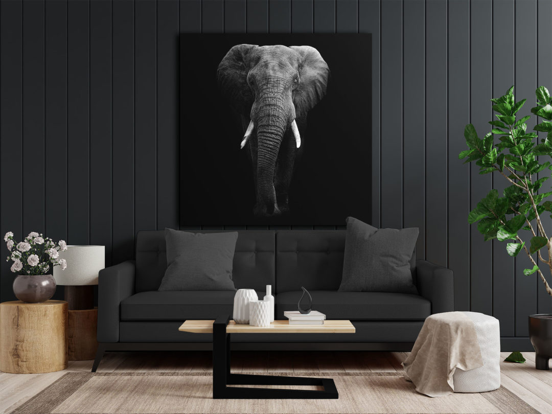 Wandbild Elefant - Wohnzimmer2