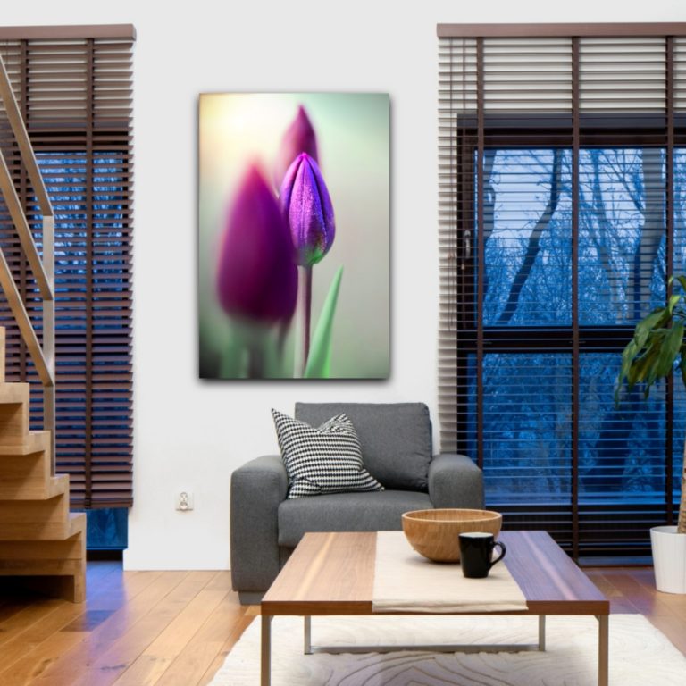 wandbild tulpe natur landschaft sabine schiebofski wohnzimmer