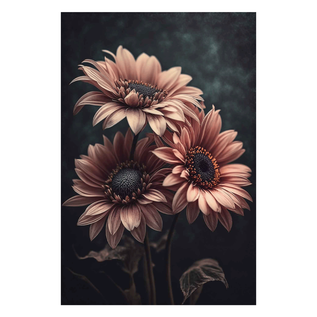 Wandbild Chrysanthemum Morifolium