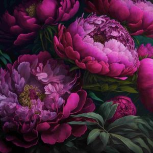 Wandbild Magenta Peonies