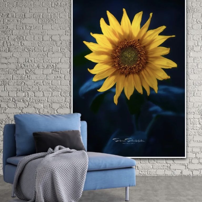 Wandbild Sonnenblume 1 Natur Landschaft Wohnzimmer Sabine Schiebofski