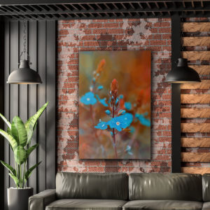 Wandbild Ehrenpreis Natur Stephan Dietze Wohnzimmer