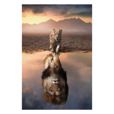 Wandbild Lion Reflection