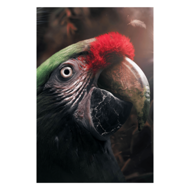 Wandbild Parrot Marble