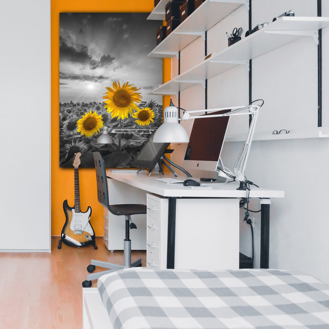 Wandbild Sonnenblumen im Sonnenuntergang - Arbeitszimmer