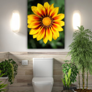 Wandbild Gaillardia Aristata - Bad