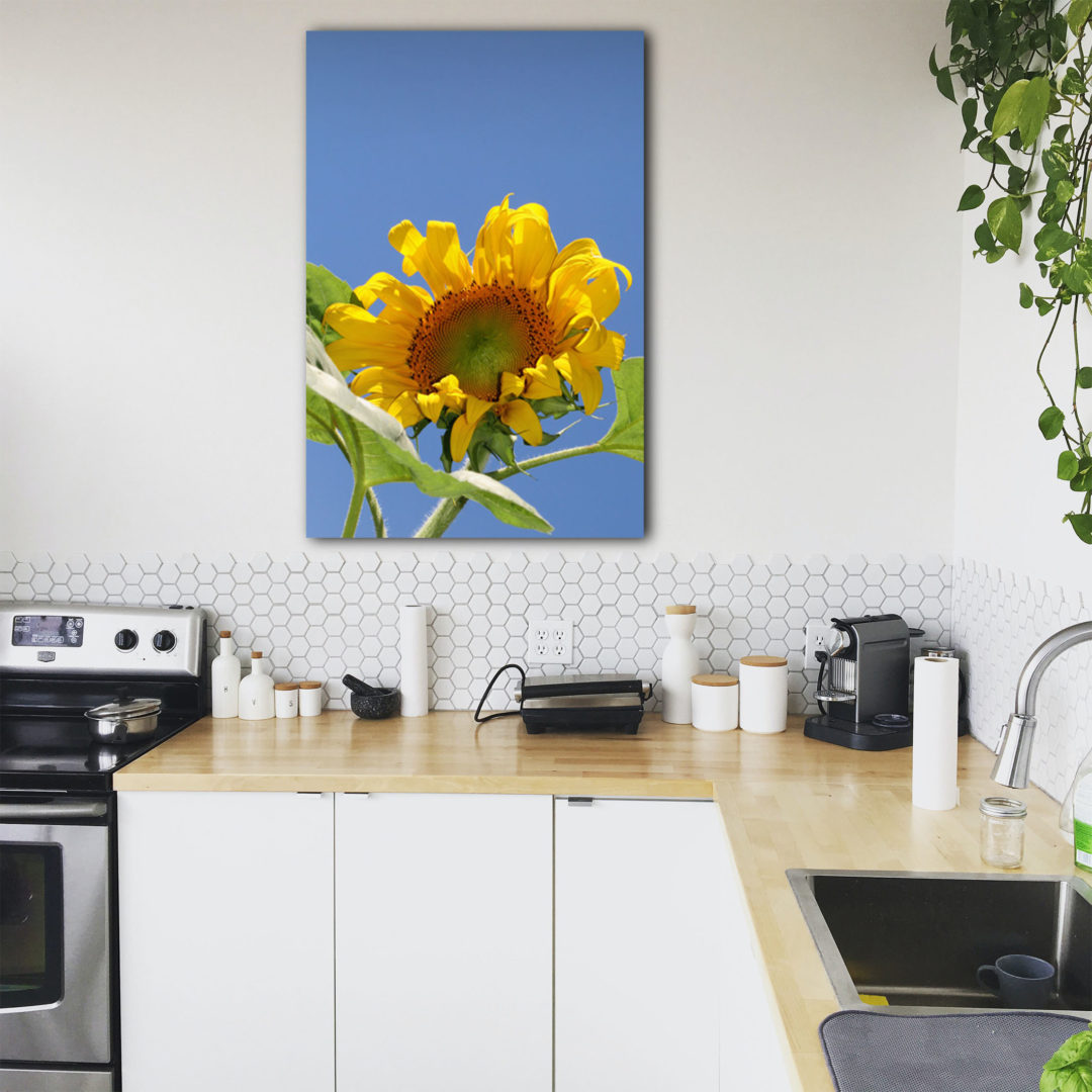 Wandbild Sunny Blossom - Küche