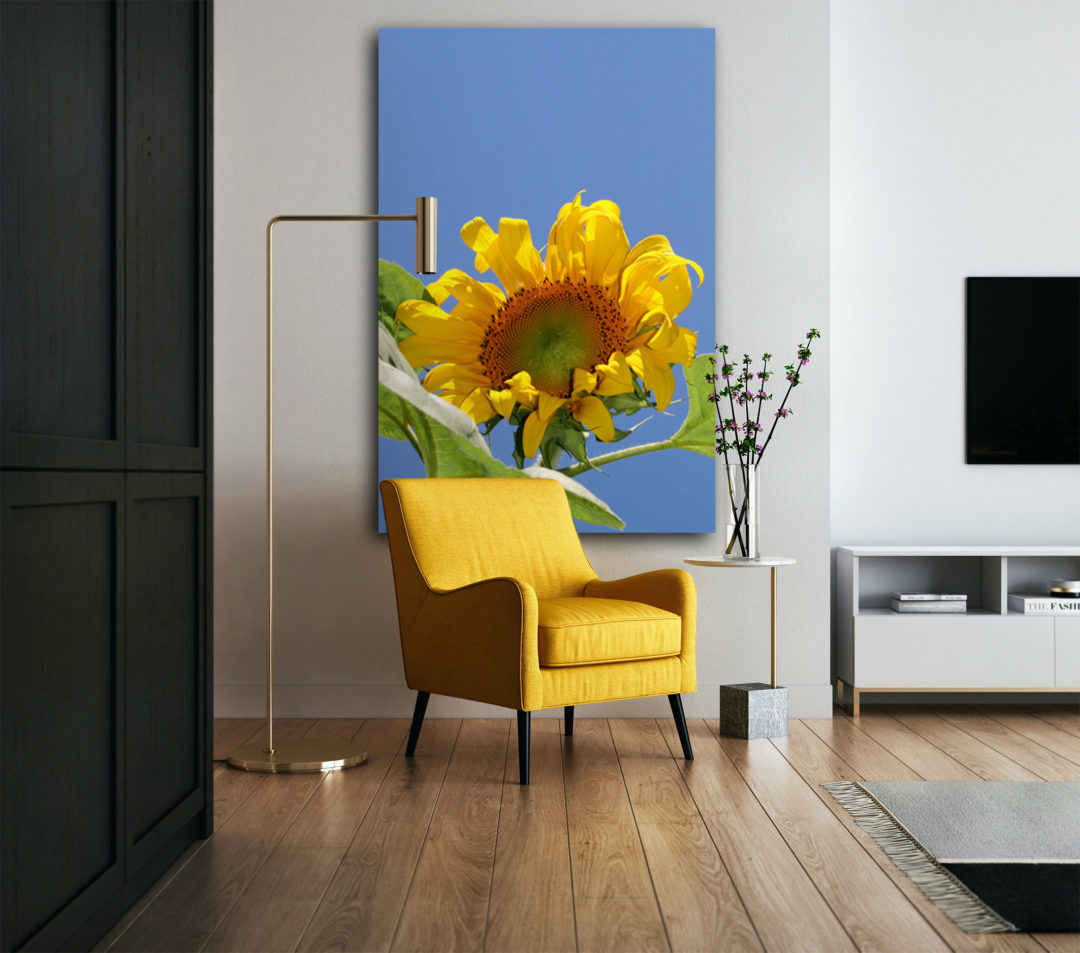 Wandbild Sunny Blossom - Wohnzimmer