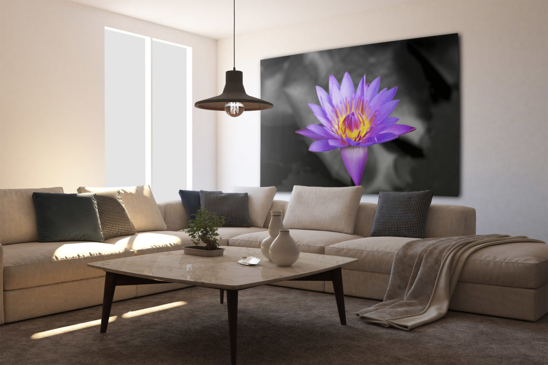 Wandbild Violet Bloom - Wohnzimmer