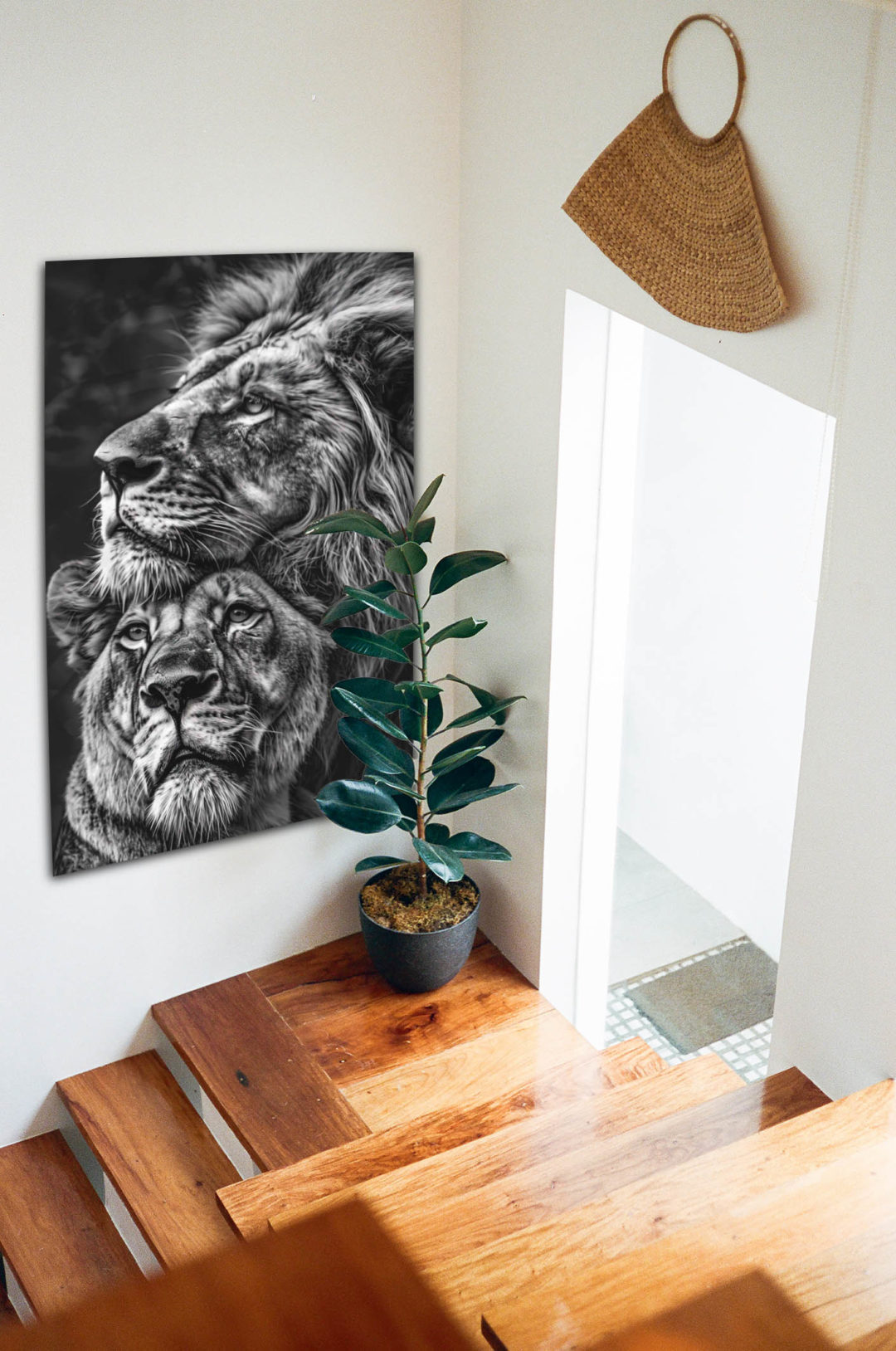 Wandbild Lion Couple - Flur